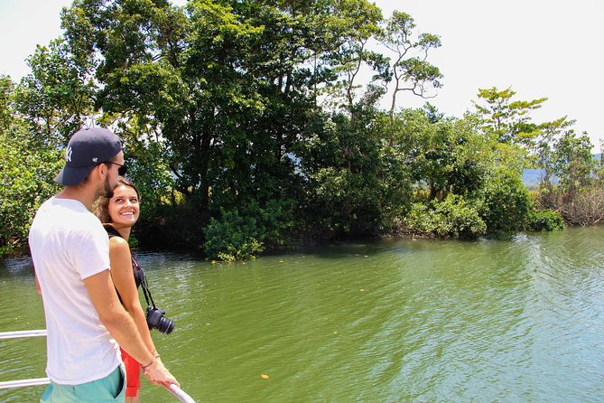 Cape Tribulation & Daintree Wilderness (TCT) - Key points at a glance
