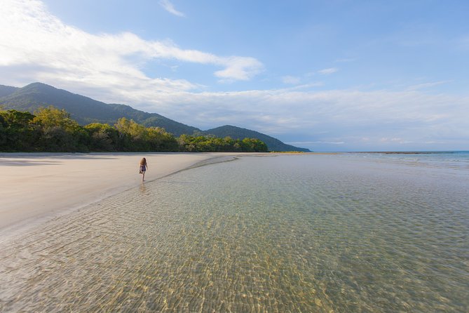 Cape Tribulation & Daintree Wilderness (TCT) - Crossing into Daintree National Park