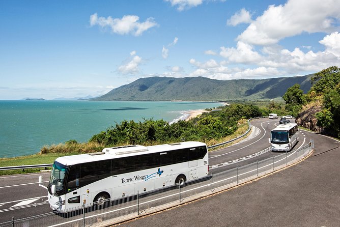 Cape Tribulation & Daintree Wilderness (TCT) - Alexandra Lookout and the value of a short stop
