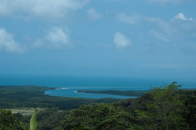 Cape Tribulation & Daintree Wilderness (TCT) - The Great Barrier Reef Drive to Port Douglas