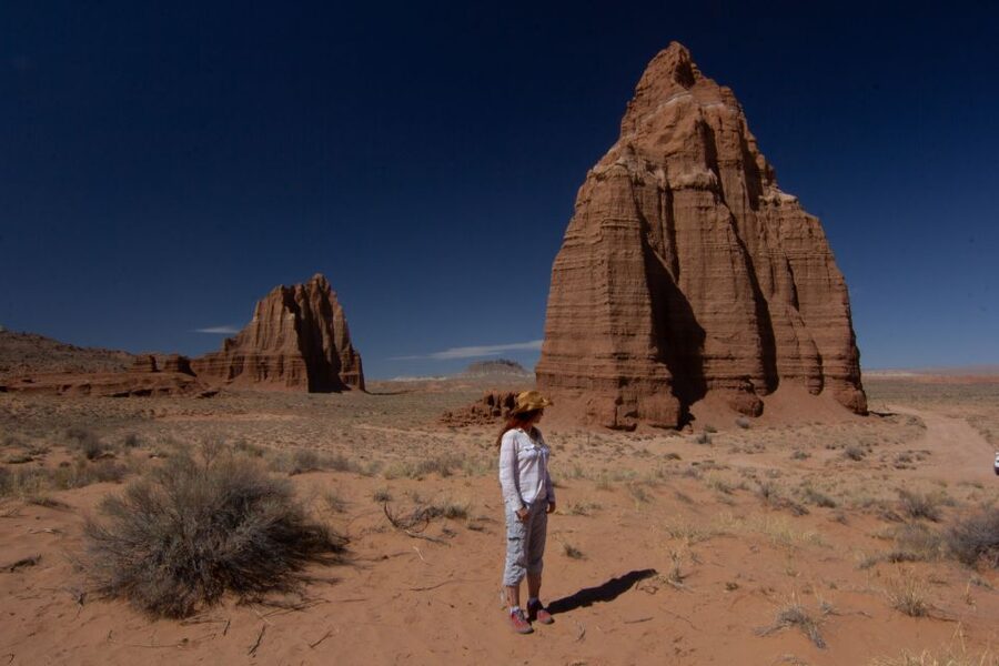 Capitol Reef National Park: Cathedral Valley Day Trip - Overlooks Above the South Desert