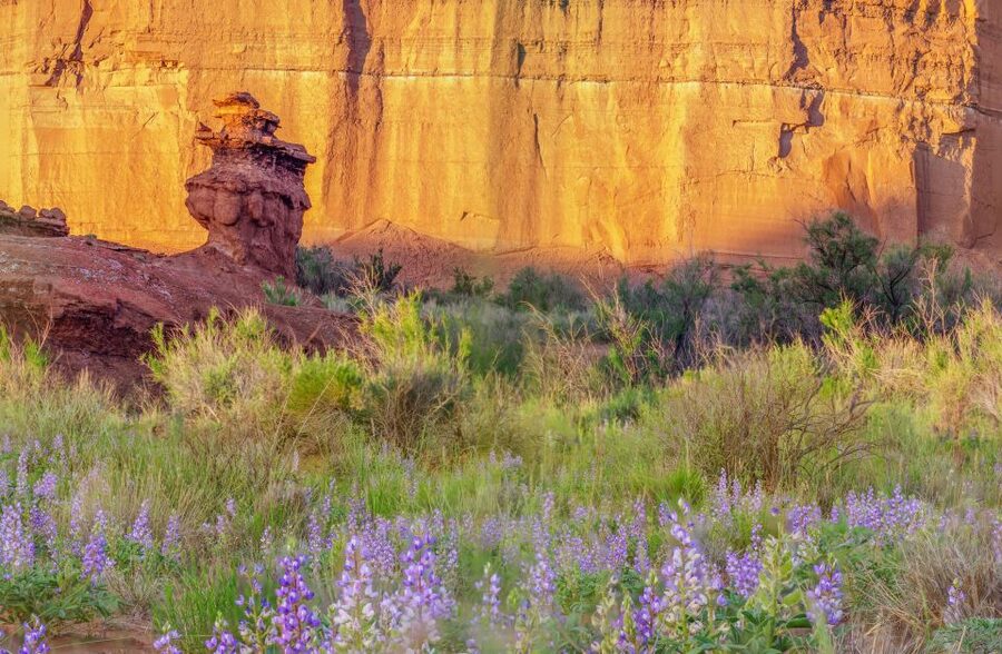 Capitol Reef National Park: Cathedral Valley Day Trip - Lunch, Restrooms, and the Descent Into Cathedral Valley