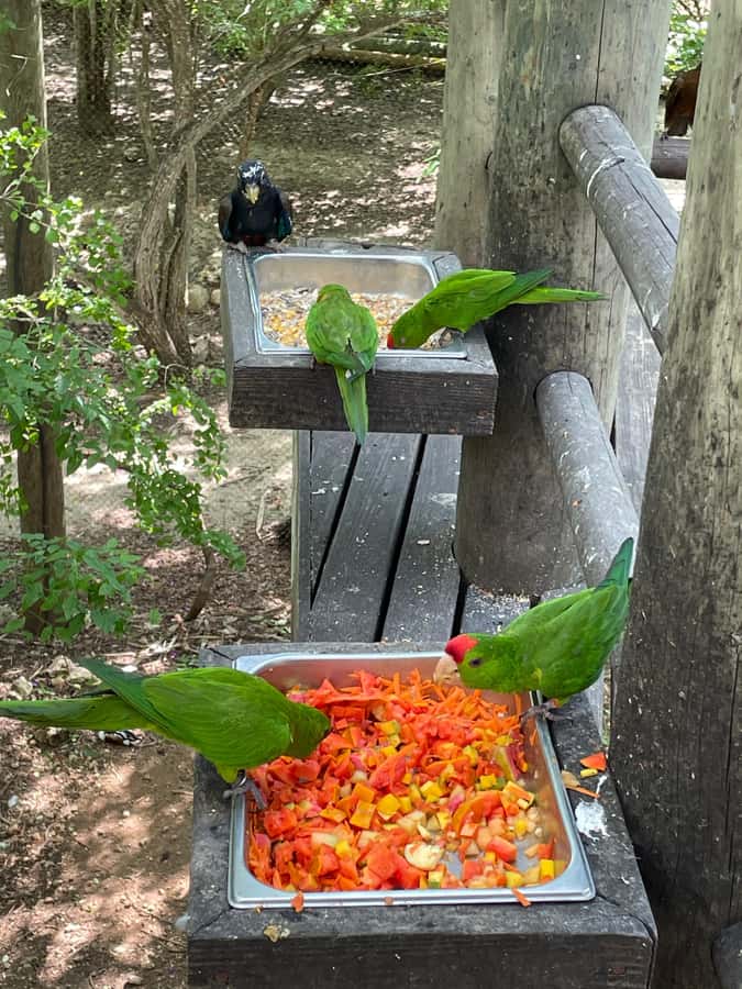 Cartagena: Aviary National Park Tour with Hotel Pickup - The ride from Cartagena to the aviary