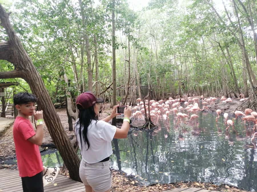 Cartagena: Aviary National Park Tour with Hotel Pickup - Entering Colombia’s National Aviary