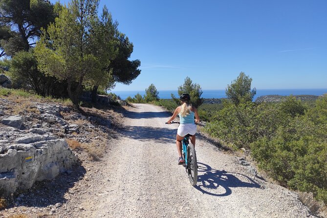 Cassis National Park E-Mountain Bike Experience with Virtual Guide - Bike quality, safety, and support