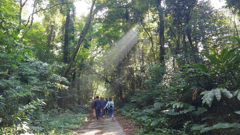 Cat Ba: National Park Day Trip with Cycling and Kayaking - What to wear and bring for the nine-hour day