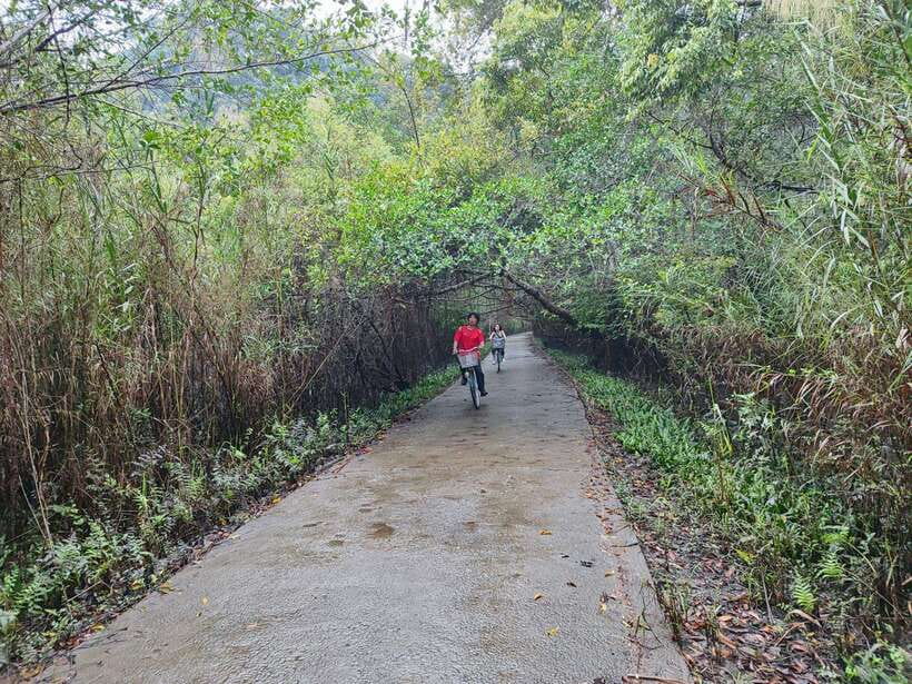 Cat Ba National Park Full Day Guide Tour Trekking & Kayaking - Six kilometers through Cat Ba National Park
