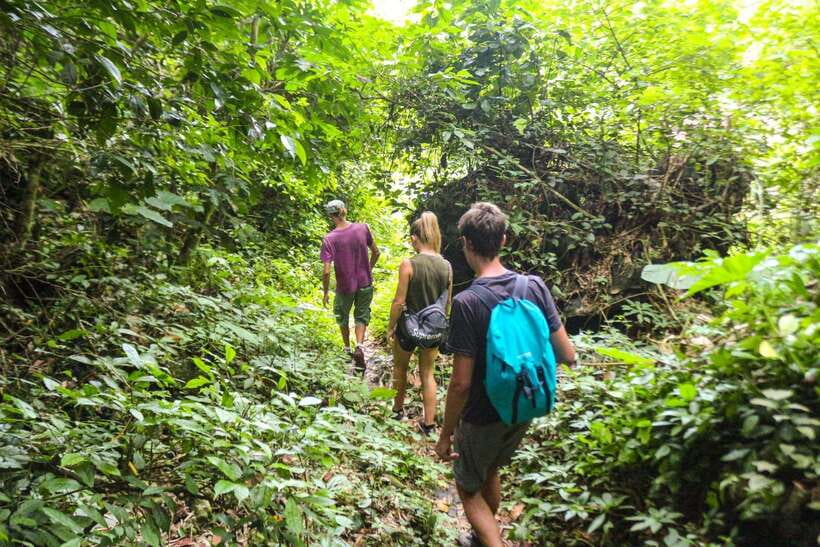 Cat Ba: National Park Trek, Village Visit and Kayak Day Tour - Who Should Book This Day Tour