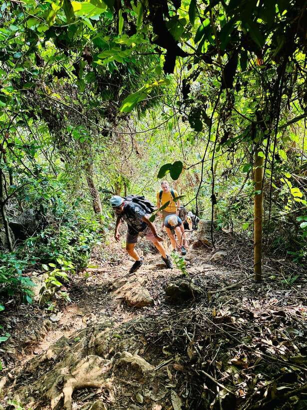 Cat Ba National Park Trekking & Ancient Village Biking - Key points to know before you book