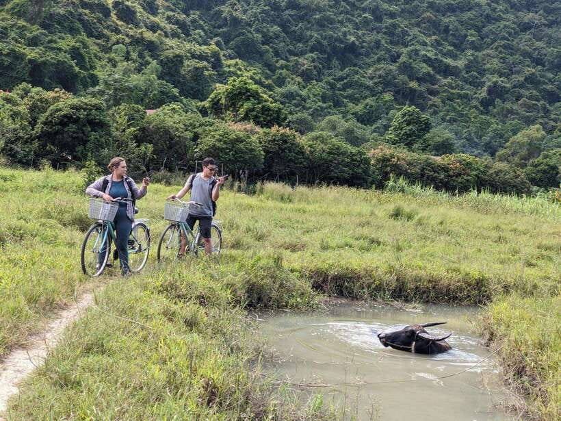 Cat Ba National Park Trekking & Ancient Village Biking - Frog Lake and the Va Nuoc trees