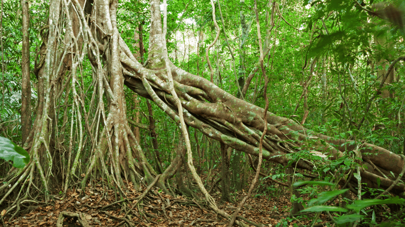 Cat Tien National Park with Crocodile Lake - Key points at a glance