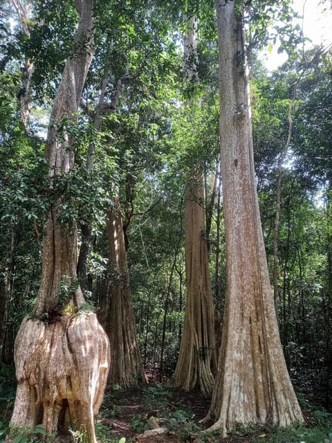 Cat Tien National Park with Crocodile Lake - Practical advice for a better visit