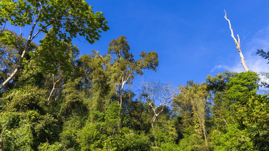 Cat Tien National Park with Crocodile Lake - Why Cat Tien works best over two days