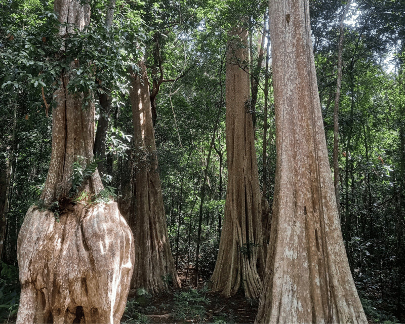 Cat Tien National Park with Crocodile Lake - The afternoon trail and Heaven’s Rapids