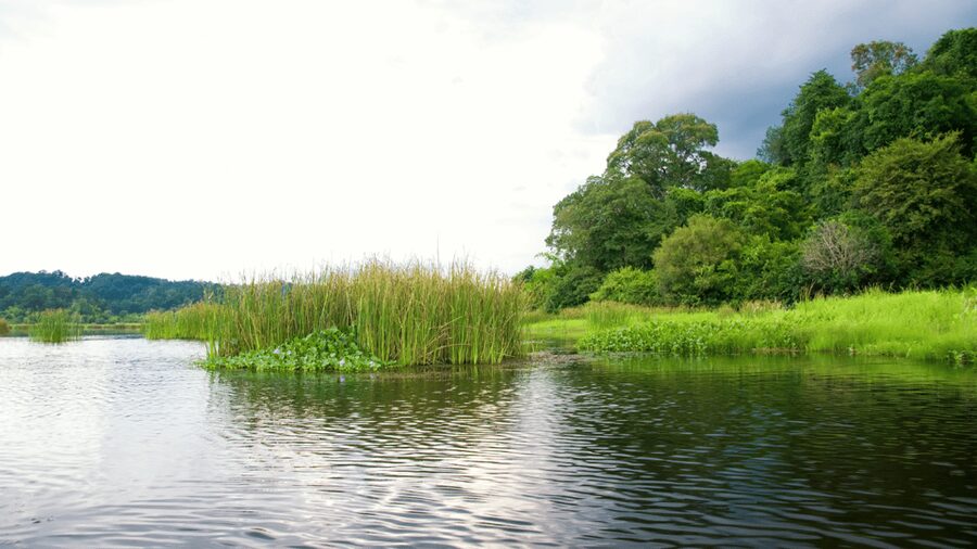 Cat Tien National Park with Crocodile Lake - Crocodile Lake by jeep, foot, and boat