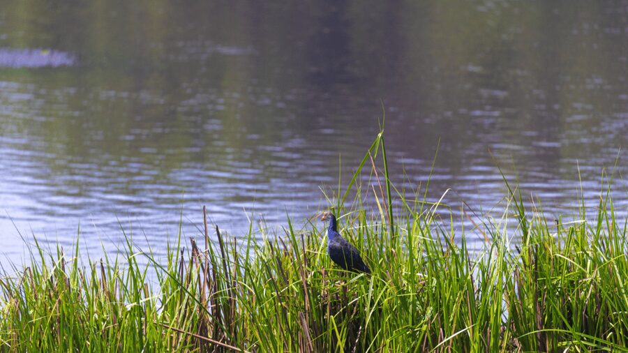 Cat Tien National Park with Crocodile Lake - Who will enjoy this trip most