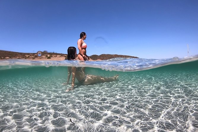 Catamaran excursions in the Asinara island National park - Key points to know before booking