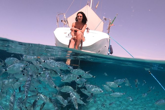 Catamaran excursions in the Asinara island National park - Is the $120.98 price good value?