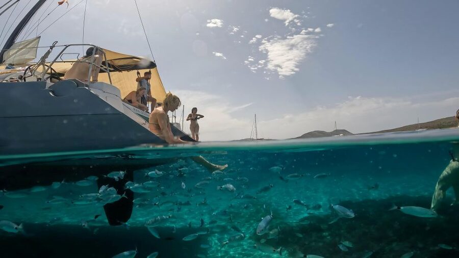 Catamaran tour Asinara island national park Buriana Charter - Who will enjoy this catamaran trip