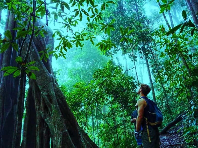 Chiang Mai: 7-Hour Doi Suthep National Park Summit Hiking - What to pack and how to prepare