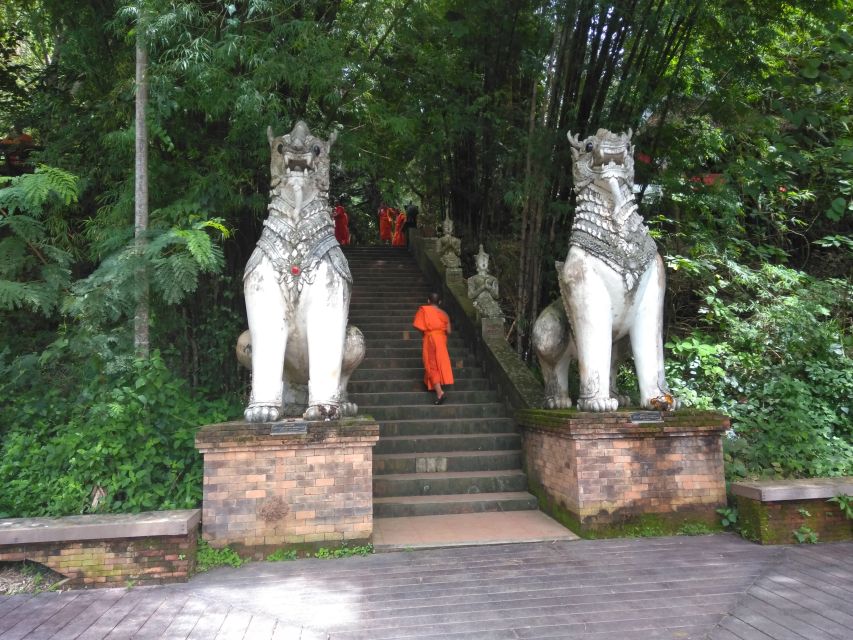 Chiang Mai: 7-Hour Doi Suthep National Park Summit Hiking - Wat Phra That Doi Suthep and the city view
