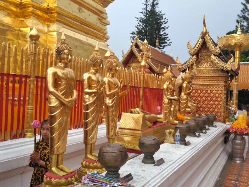 Chiang Mai: 7-Hour Doi Suthep National Park Summit Hiking - What the $60 price really covers