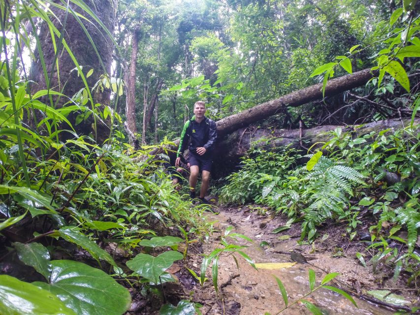 Chiang Mai: 7-Hour Doi Suthep National Park Summit Hiking - Who should book this hike