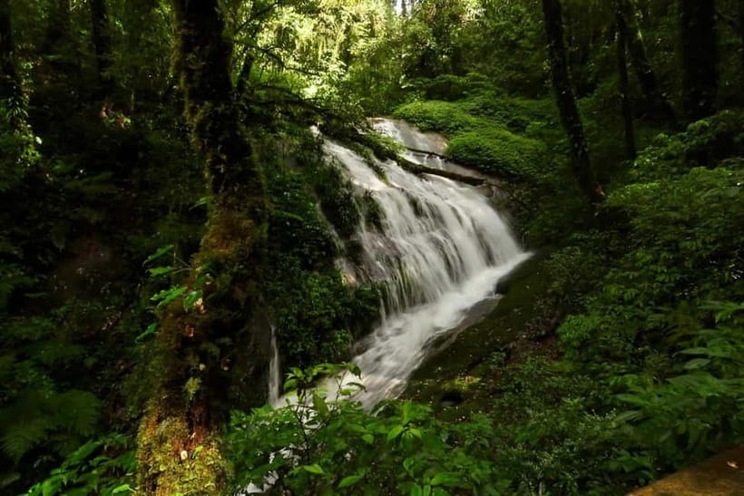 Chiang Mai: Doi Inthanon National Park and Kew Mae Pan Tour - Lunch, a Karen market, and local contact