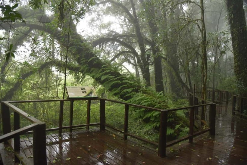 Chiang Mai: Doi Inthanon National Park and Kew Mae Pan Tour - Wachirathan Waterfall closes the day well