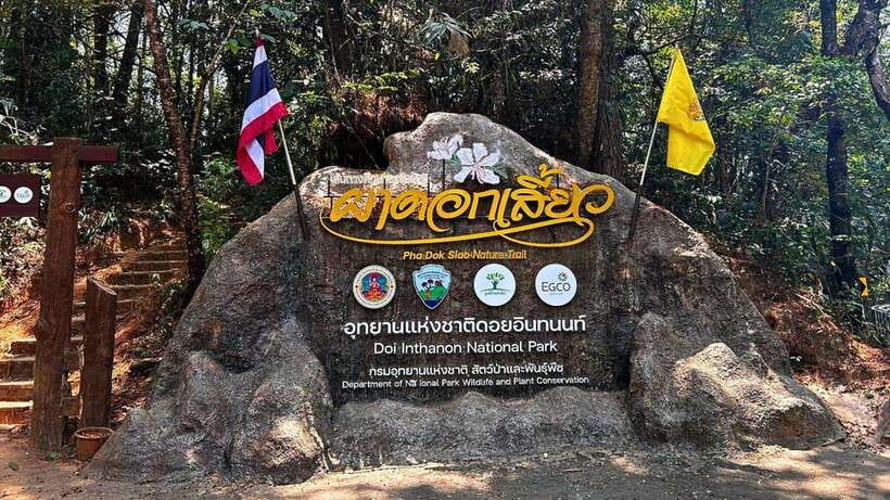 Chiang Mai: Doi Inthanon National Park and Pha Dok Siew Trek - Doi Inthanon National Park at 2,565 meters