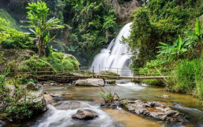 Doi Inthanon National Park and Pha Dok Siew Trek