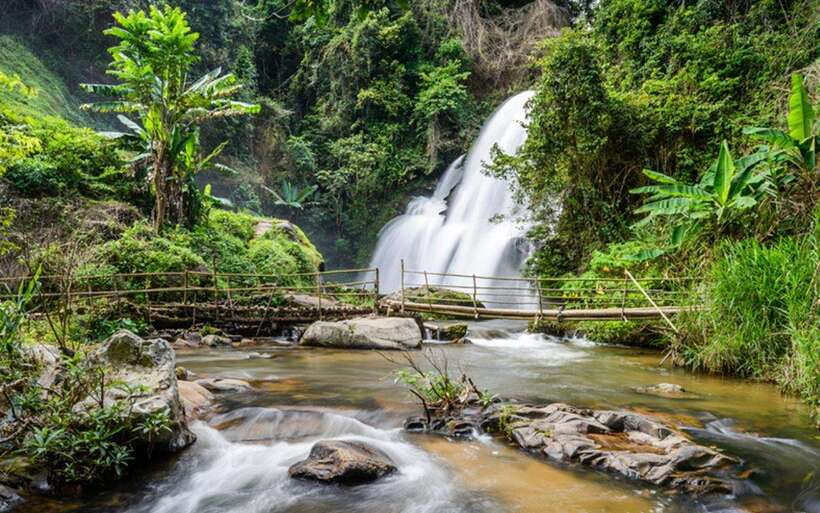 Chiang Mai: Doi Inthanon National Park and Pha Dok Siew Trek - The mountain road and the first café stop