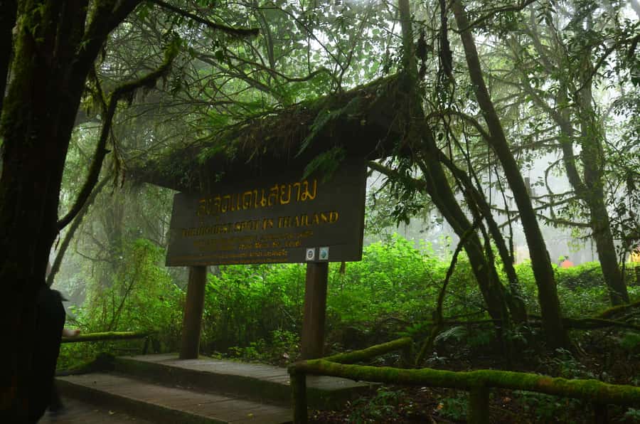 Chiang Mai: Doi Inthanon National Park Private Tour - Why Doi Inthanon works as a Chiang Mai day trip