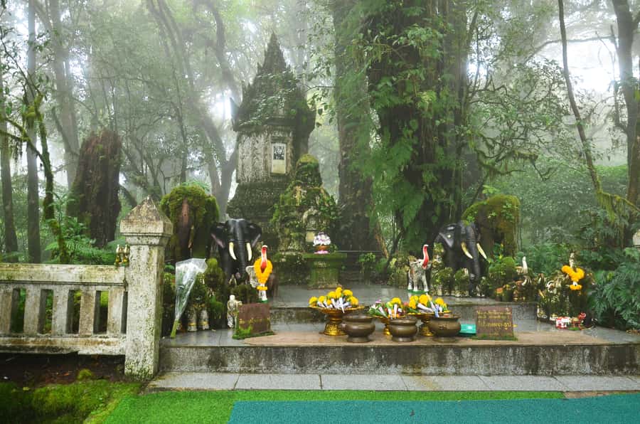 Chiang Mai: Doi Inthanon National Park Private Tour - The Twin Royal Pagodas and the high-country views