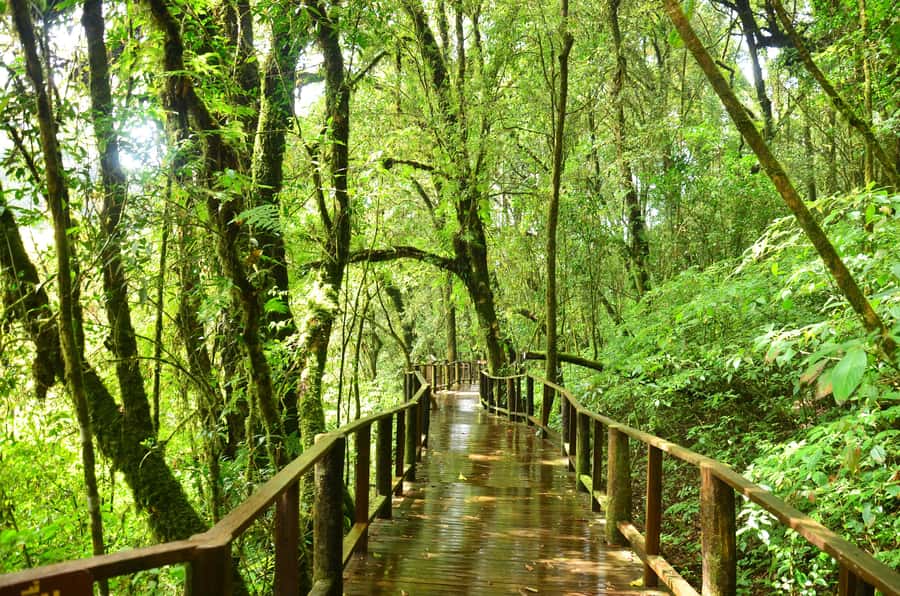 Chiang Mai: Doi Inthanon National Park Private Tour - Wachirathan Waterfall brings a welcome reset