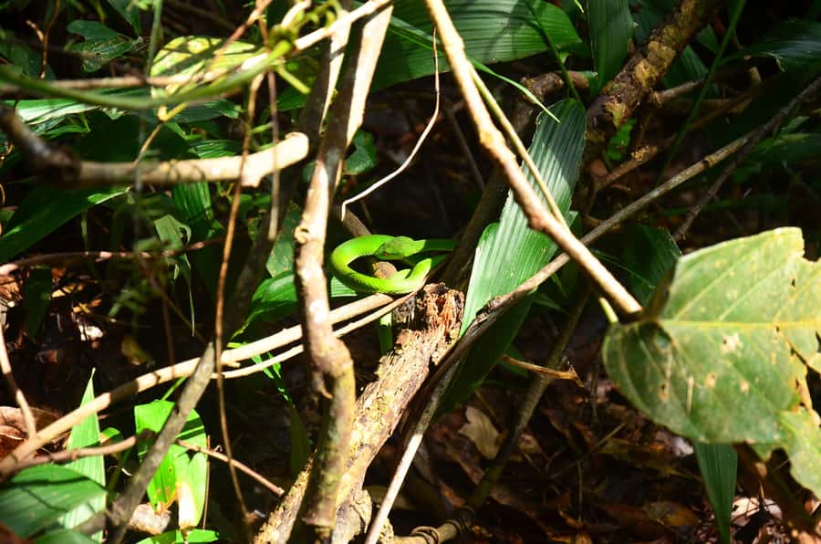 Chiang Mai: Doi Inthanon National Park Private Tour - Lunch makes the schedule easier