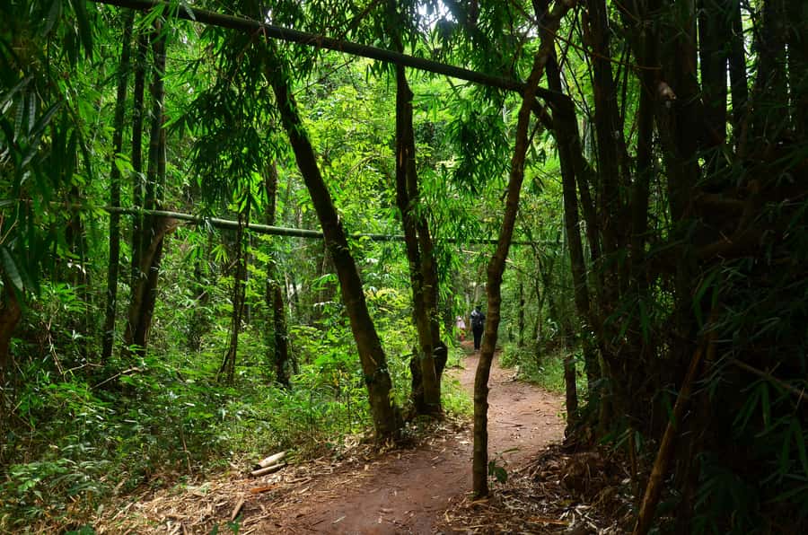 Chiang Mai: Doi Inthanon National Park Private Tour - The guide and driver can shape the day