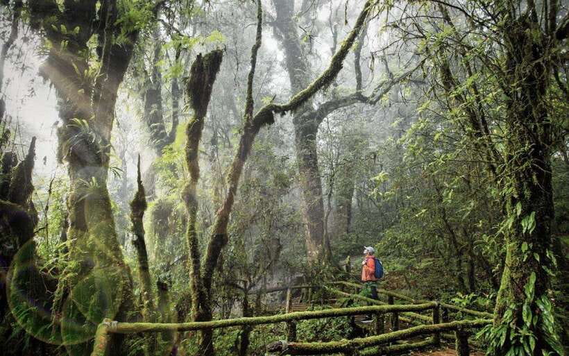 Chiang Mai: Doi Inthanon National Park Sightseeing Only - The summit area and Doi Inthanon views
