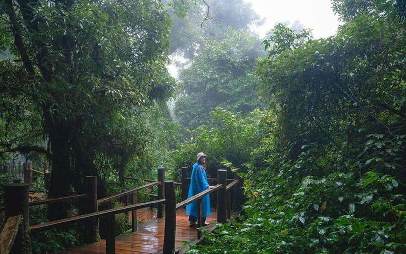 Chiang Mai: Doi Inthanon National Park Sightseeing Only - Ang Ka Nature Trail and the cool forest