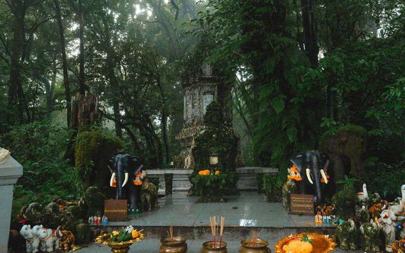 Chiang Mai: Doi Inthanon National Park Sightseeing Only - The King and Queen Pagodas