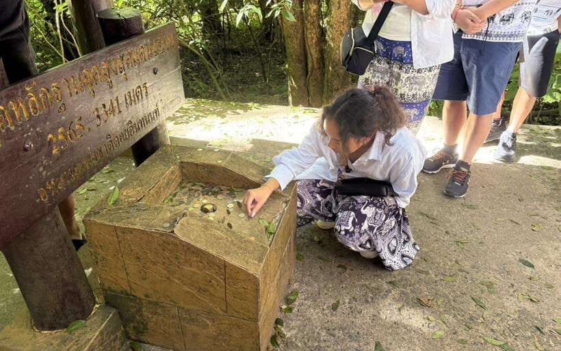 Chiang Mai: Doi Inthanon National Park Sightseeing Only - How much value do you get for $39?