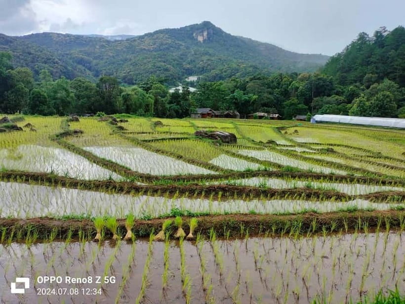 Chiang Mai: Doi Inthanon National Park+Trek Pha Dok Siew - Pha Dok Siew: the best part for walkers