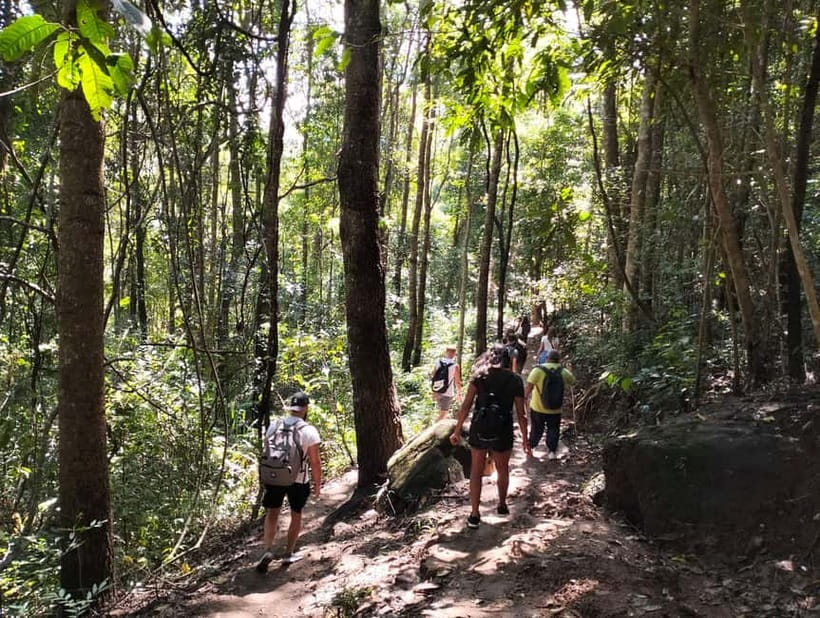 Chiang Mai: Doi Inthanon National Park+Trek Pha Dok Siew - Coffee in the Karen village