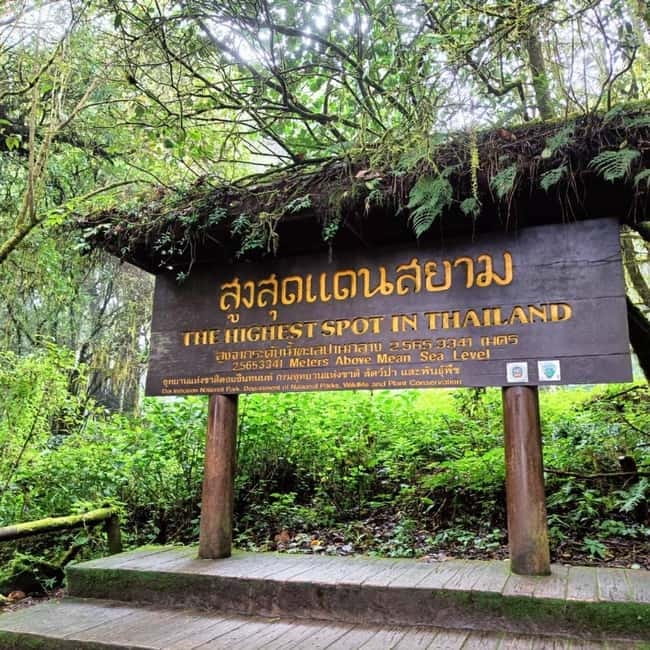 Chiang Mai: Doi Inthanon National Park+Trek Pha Dok Siew - The morning drive and the high point
