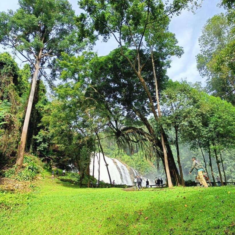 Chiang Mai: Doi Inthanon National Park & Waterfall Day Tour - Ang Ka trail and the highland forest