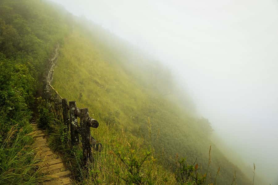 Chiang Mai: Doi Inthanon National Park, Waterfall & Lunch - Key points at a glance