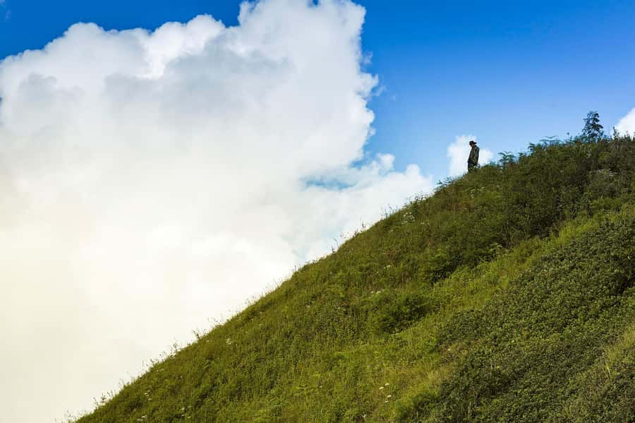 Chiang Mai: Doi Inthanon National Park, Waterfall & Lunch - Thailand’s highest point at 2,565 meters