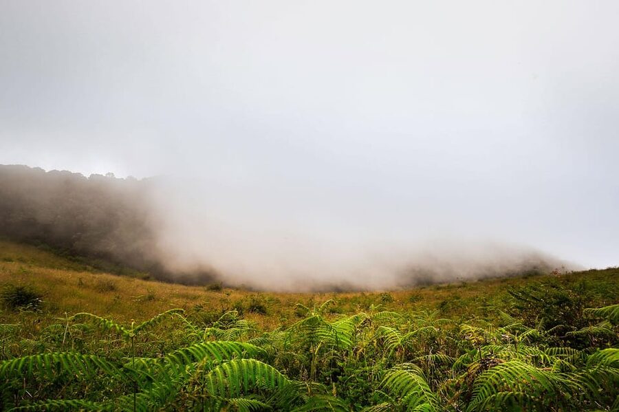 Chiang Mai: Doi Inthanon National Park, Waterfall & Lunch - Lunch in or near the Karen village