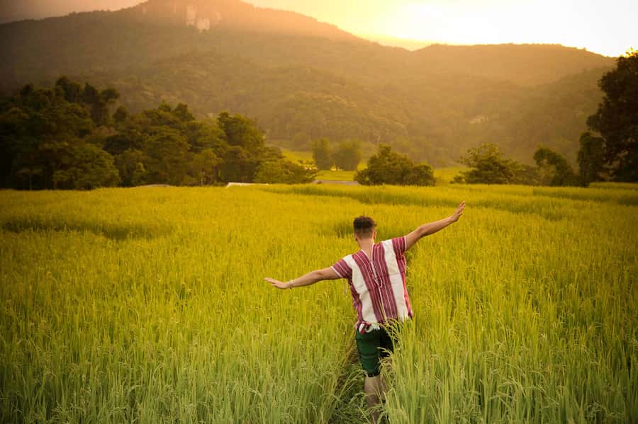 Chiang Mai: Doi Inthanon National Park, Waterfall & Lunch - Is the $37 price good value?