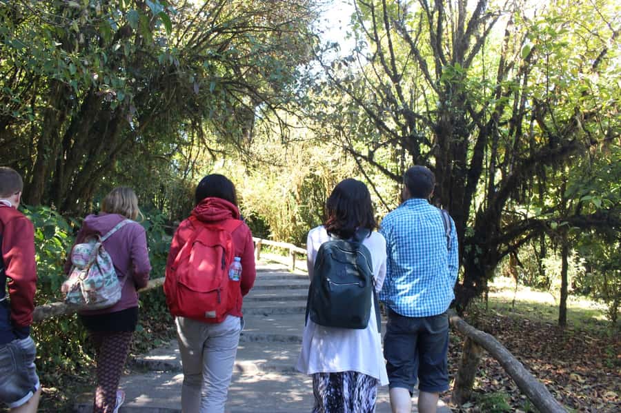 Chiang Mai: Doi Inthanon National Park with Ticket & Lunch - Guide quality and group size